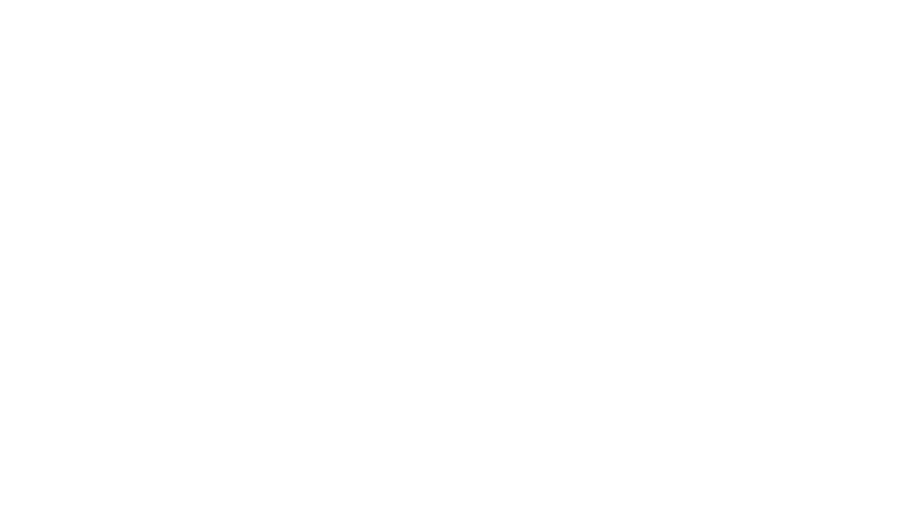 pss_logo_white
